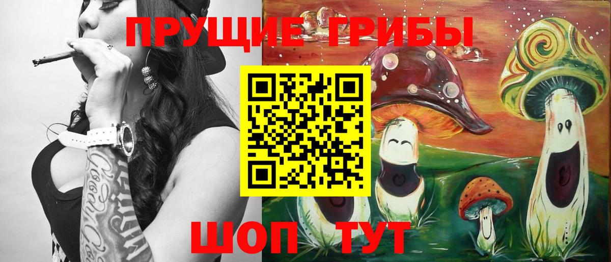 Галлюциногенные грибы Magic Shrooms  Галлюциногенные грибы MAGIC MUSHROOMS  Вход с VPN  Гатчина 
